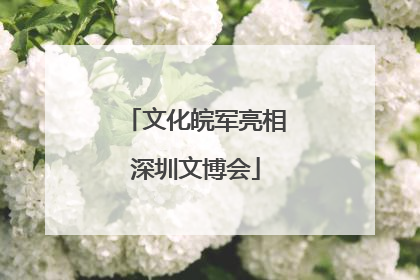 文化皖军亮相深圳文博会