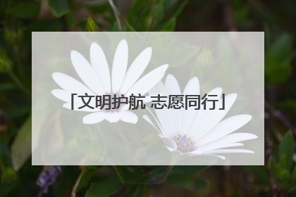 文明护航 志愿同行