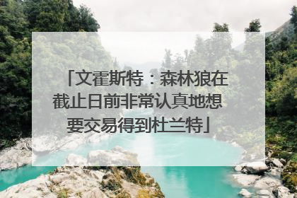 文霍斯特：森林狼在截止日前非常认真地想要交易得到杜兰特