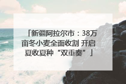 新疆阿拉尔市：38万亩冬小麦全面收割 开启夏收夏种“双重奏”
