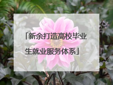 新余打造高校毕业生就业服务体系