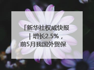 新华社权威快报｜增长2.5%，前5月我国外贸保持较强韧性