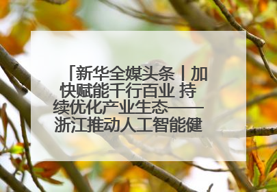 新华全媒头条丨加快赋能千行百业 持续优化产业生态——浙江推动人工智能健康有序发展观察