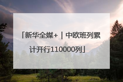 新华全媒+｜中欧班列累计开行110000列