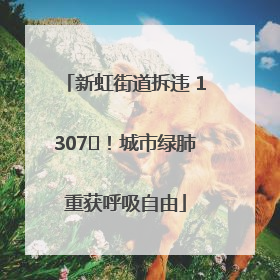 新虹街道拆违 1307㎡！城市绿肺重获呼吸自由