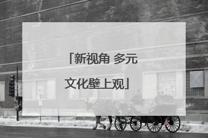 新视角 多元文化壁上观