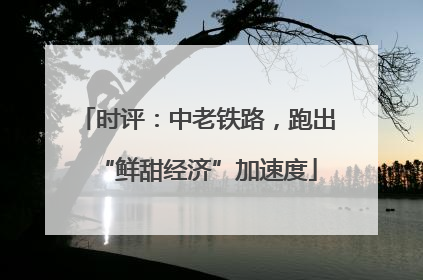 时评：中老铁路，跑出“鲜甜经济”加速度