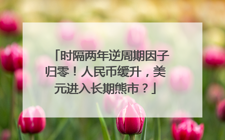 时隔两年逆周期因子归零！人民币缓升，美元进入长期熊市？