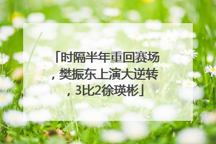 时隔半年重回赛场，樊振东上演大逆转，3比2徐瑛彬