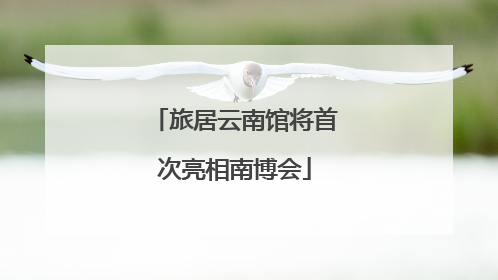 旅居云南馆将首次亮相南博会