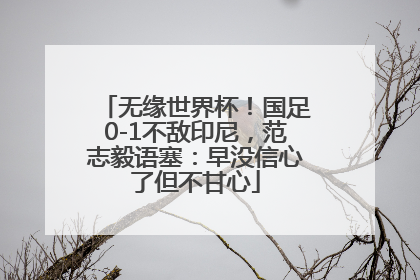 无缘世界杯！国足0-1不敌印尼，范志毅语塞：早没信心了但不甘心