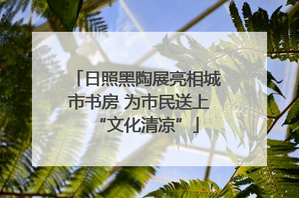 日照黑陶展亮相城市书房 为市民送上“文化清凉”