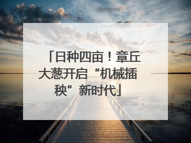 日种四亩！章丘大葱开启“机械插秧”新时代