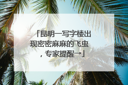 昆明一写字楼出现密密麻麻的飞虫，专家提醒→