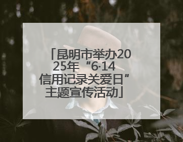 昆明市举办2025年“6·14信用记录关爱日”主题宣传活动