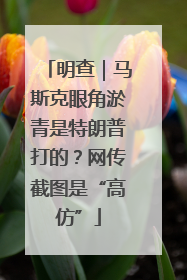 明查｜马斯克眼角淤青是特朗普打的？网传截图是“高仿”