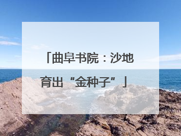 曲阜书院：沙地育出“金种子”