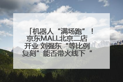 机器人“满场跑”！京东MALL北京二店开业 刘强东“等比例复刻”能否带火线下“618”？