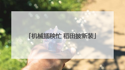 机械插秧忙 稻田披新装