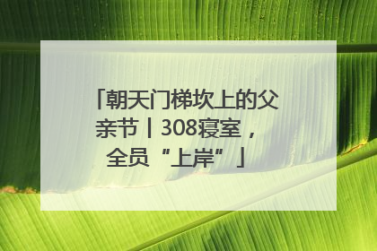 朝天门梯坎上的父亲节丨308寝室，全员“上岸”