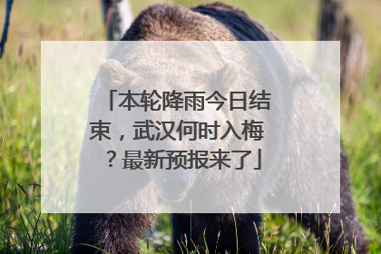 本轮降雨今日结束，武汉何时入梅？最新预报来了