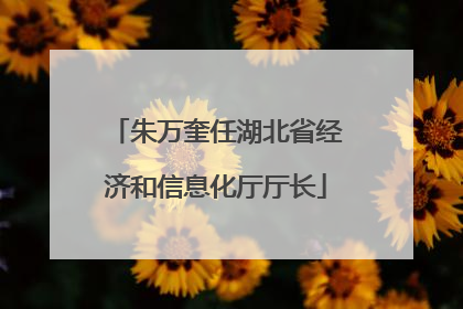 朱万奎任湖北省经济和信息化厅厅长