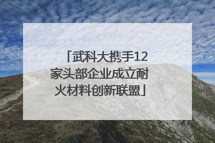 武科大携手12家头部企业成立耐火材料创新联盟