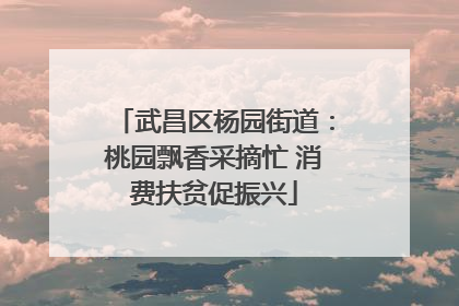 武昌区杨园街道：桃园飘香采摘忙 消费扶贫促振兴