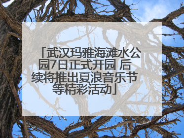 武汉玛雅海滩水公园7日正式开园 后续将推出夏浪音乐节等精彩活动