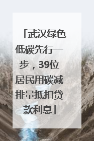 武汉绿色低碳先行一步，39位居民用碳减排量抵扣贷款利息