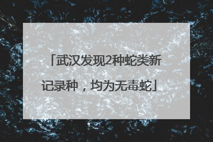 武汉发现2种蛇类新记录种，均为无毒蛇