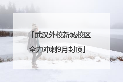 武汉外校新城校区全力冲刺9月封顶