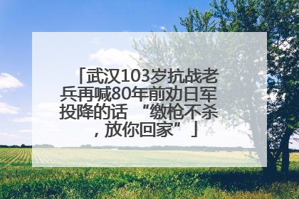 武汉103岁抗战老兵再喊80年前劝日军投降的话 “缴枪不杀，放你回家”