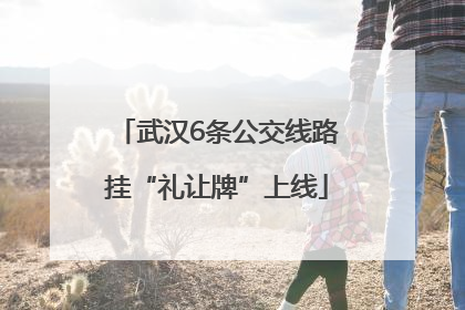 武汉6条公交线路挂“礼让牌”上线