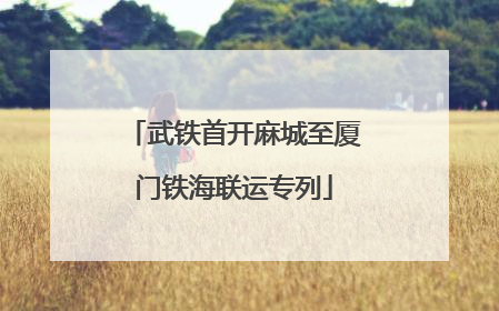 武铁首开麻城至厦门铁海联运专列