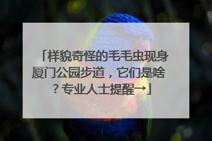 样貌奇怪的毛毛虫现身厦门公园步道，它们是啥？专业人士提醒→