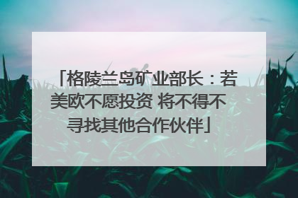 格陵兰岛矿业部长：若美欧不愿投资 将不得不寻找其他合作伙伴