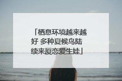 栖息环境越来越好 多种夏候鸟陆续来厦恋爱生娃