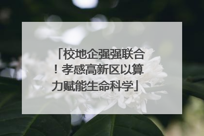 校地企强强联合！孝感高新区以算力赋能生命科学