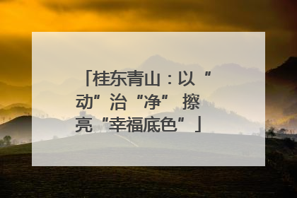 桂东青山：以“动”治“净” 擦亮“幸福底色”
