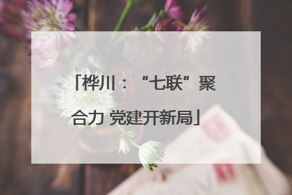 桦川：“七联”聚合力 党建开新局