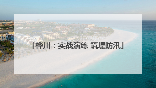 桦川：实战演练 筑堤防汛