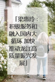 梁惠玲：积极服务和融入国内大循环 加快推动龙江高质量振兴发展