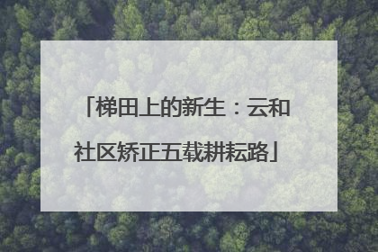梯田上的新生：云和社区矫正五载耕耘路