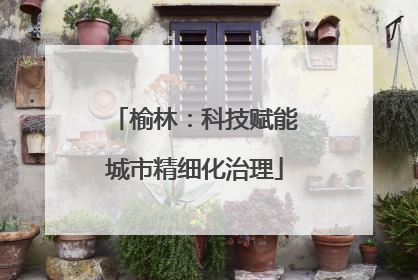 榆林：科技赋能城市精细化治理