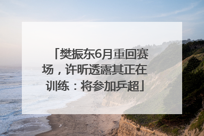 樊振东6月重回赛场，许昕透露其正在训练：将参加乒超