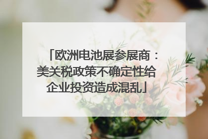 欧洲电池展参展商：美关税政策不确定性给企业投资造成混乱