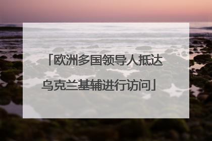 欧洲多国领导人抵达乌克兰基辅进行访问