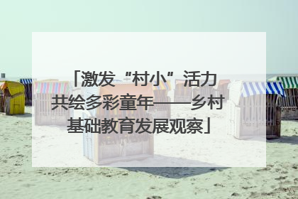 激发“村小”活力 共绘多彩童年——乡村基础教育发展观察