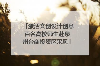 激活文创设计创意 百名高校师生赴泉州台商投资区采风